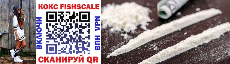 mega ТОР  Димитровград  Кокаин FishScale  где продают наркотики 