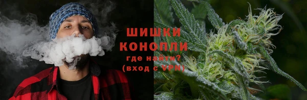 соль ск Инта