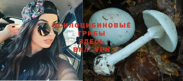 COCAINE Инсар