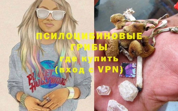 круглые Иннополис