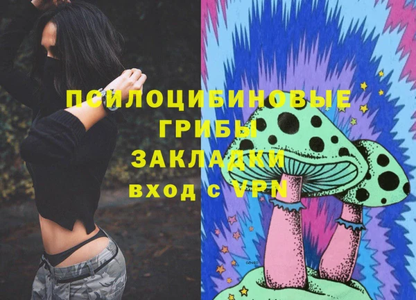 круглые Иннополис
